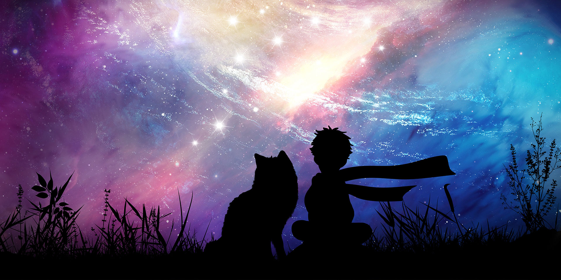 A boy and a fox sitting side by side looking up at the night stars together.