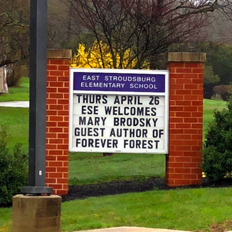 East Stroudsburg Elementary School Sign